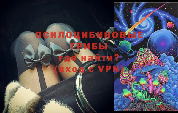 ГАЛЛЮЦИНОГЕННЫЕ ГРИБЫ Алзамай
